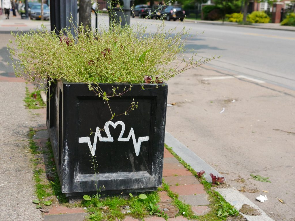 a planter on a city sidewalk with a white heart rhythm strip painted on one side