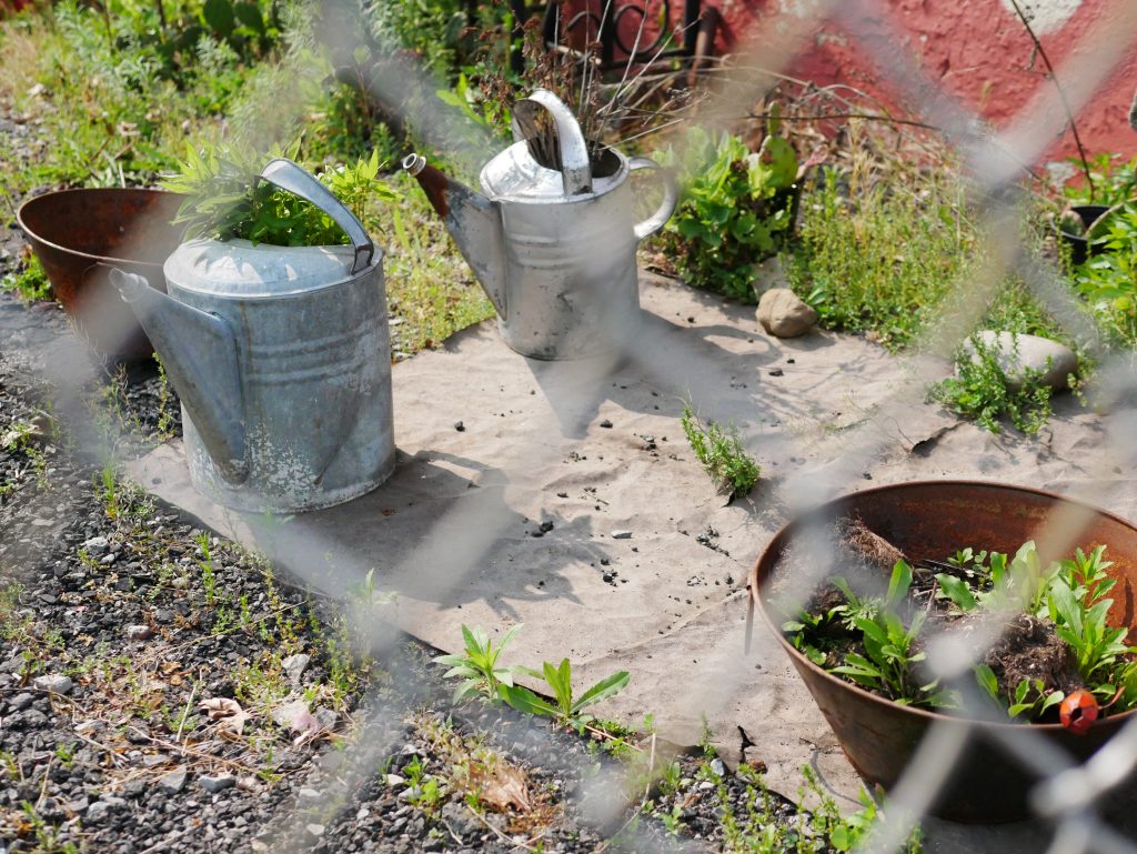 two watering cans and two planters sit on a pad of concrete, viewed through a chain-link fence